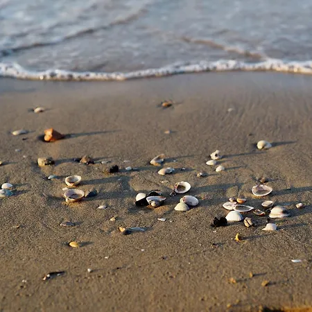 Renovated By The Sea With Private Garden Μπιμπιόνε